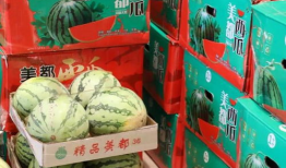 邵阳最新吃瓜爆料事件,神秘事件背后真相揭晓！