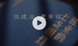 企业视频,视频深度解析