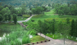 打野视频武汉公园,探寻城市绿洲中的野趣时光